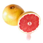 Citrus paradisi Star Ruby (3)