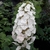 Hydrangea quercifolia Gatsby Gal (2)