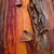 Arbutus andrachneoides (1)