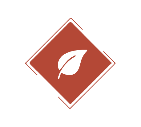 Tisanes