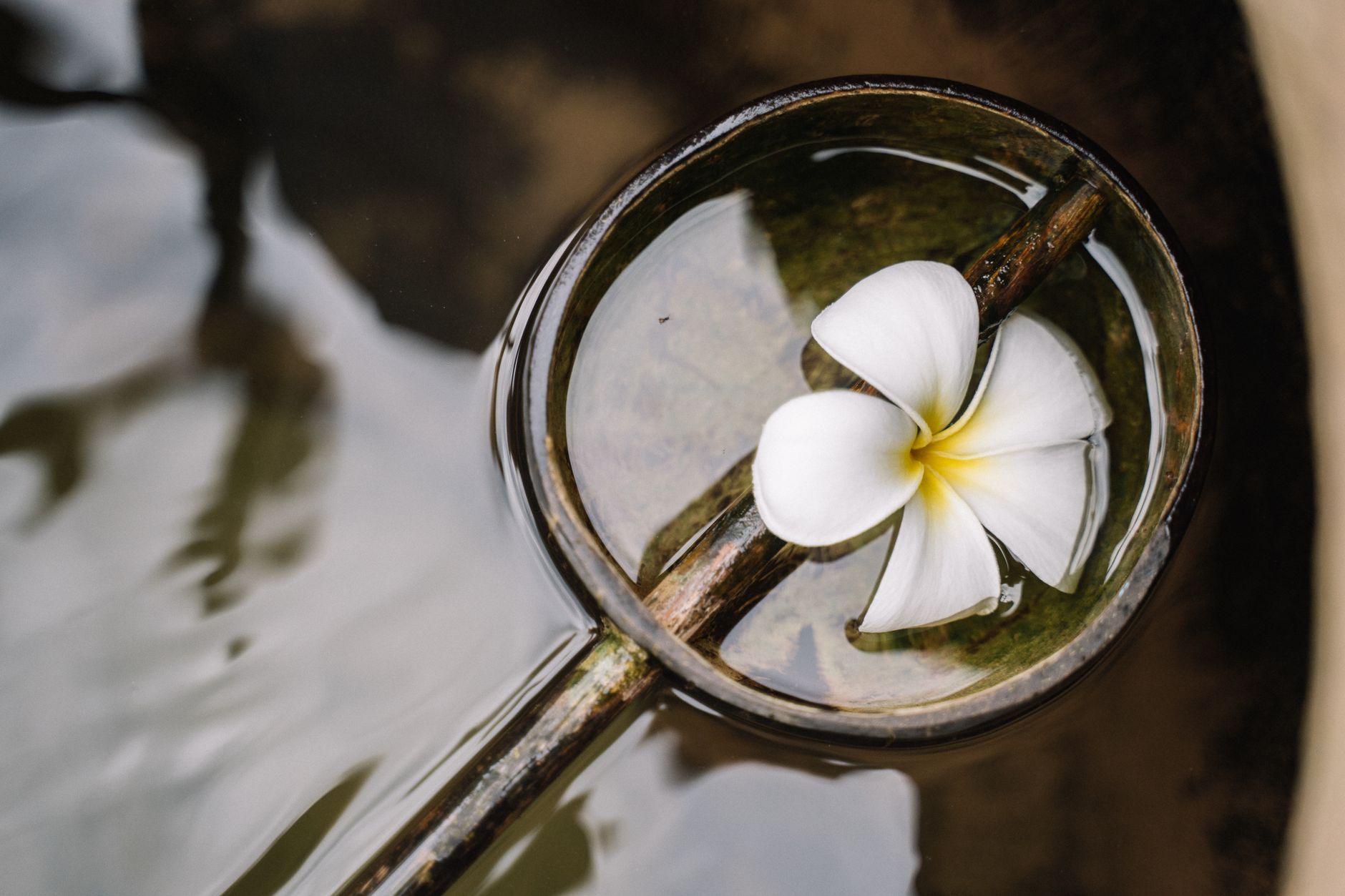 fleur blanche sur manche en acier argente