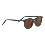 ARLIE-SS483009