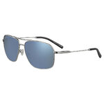 DORWINN_Shiny Silver-Mineral Polarized 555nm Blue Cat 2 to 3-01