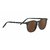 ARLIE-SS483009
