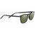 DELIO-SS021008