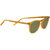 Delio_Honey Shiny-Mineral Polarized 555nm Cat 3 to 3-01