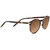 Leonora_Striped Brown Shiny-Mineral Polarized Drivers Gradient Cat 2 to 3-01