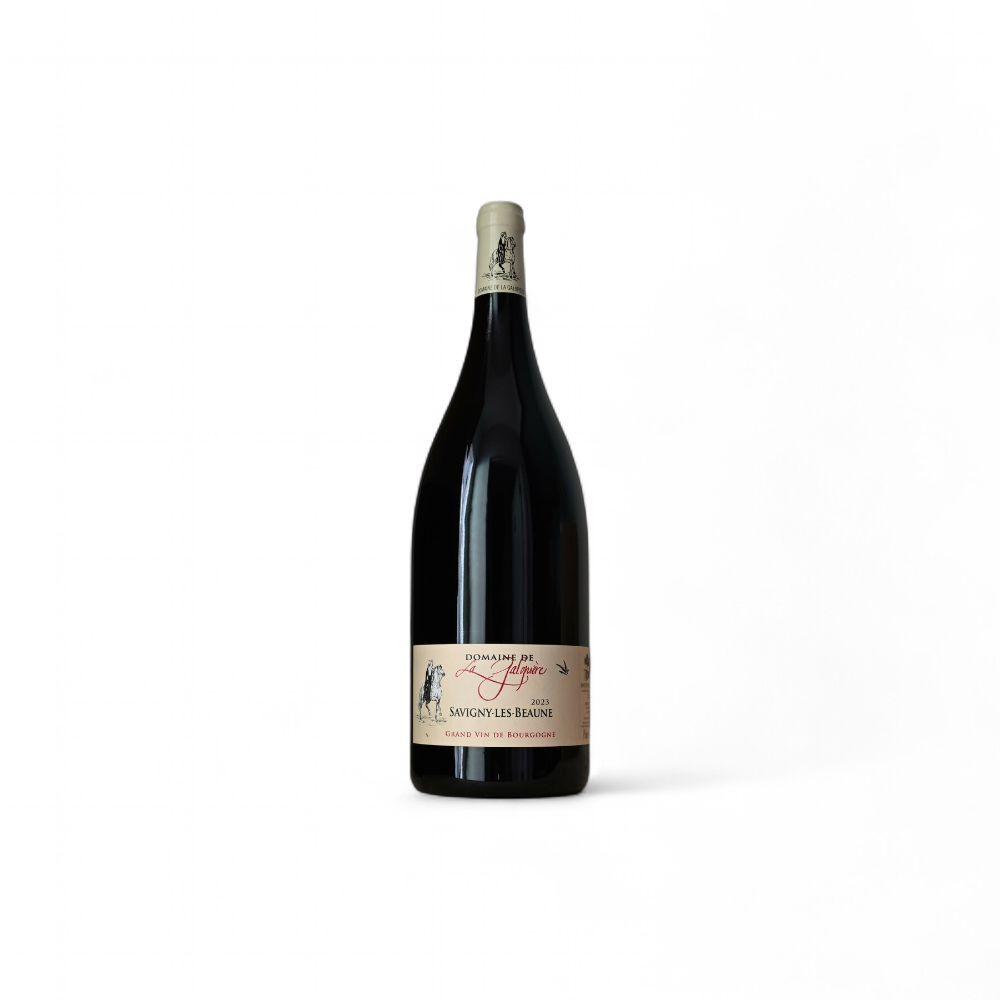 domaine-de-la-galopiere-savigny-les-beaune-2023-en-magnum