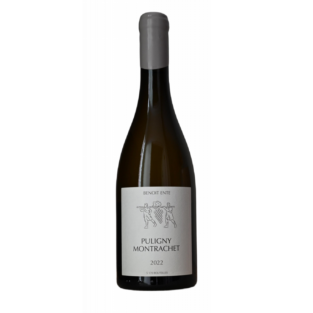 benoit-ente-puligny-montrachet