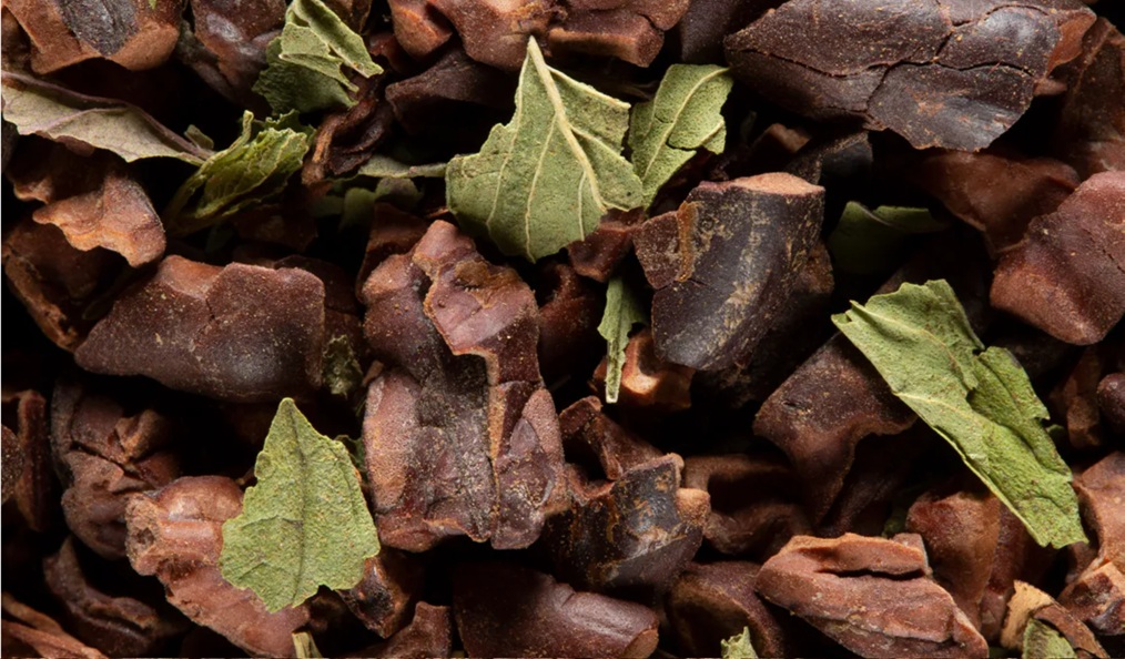 Dammann cacao menthe