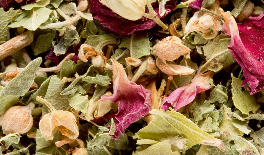 Dammann Infusion Bali