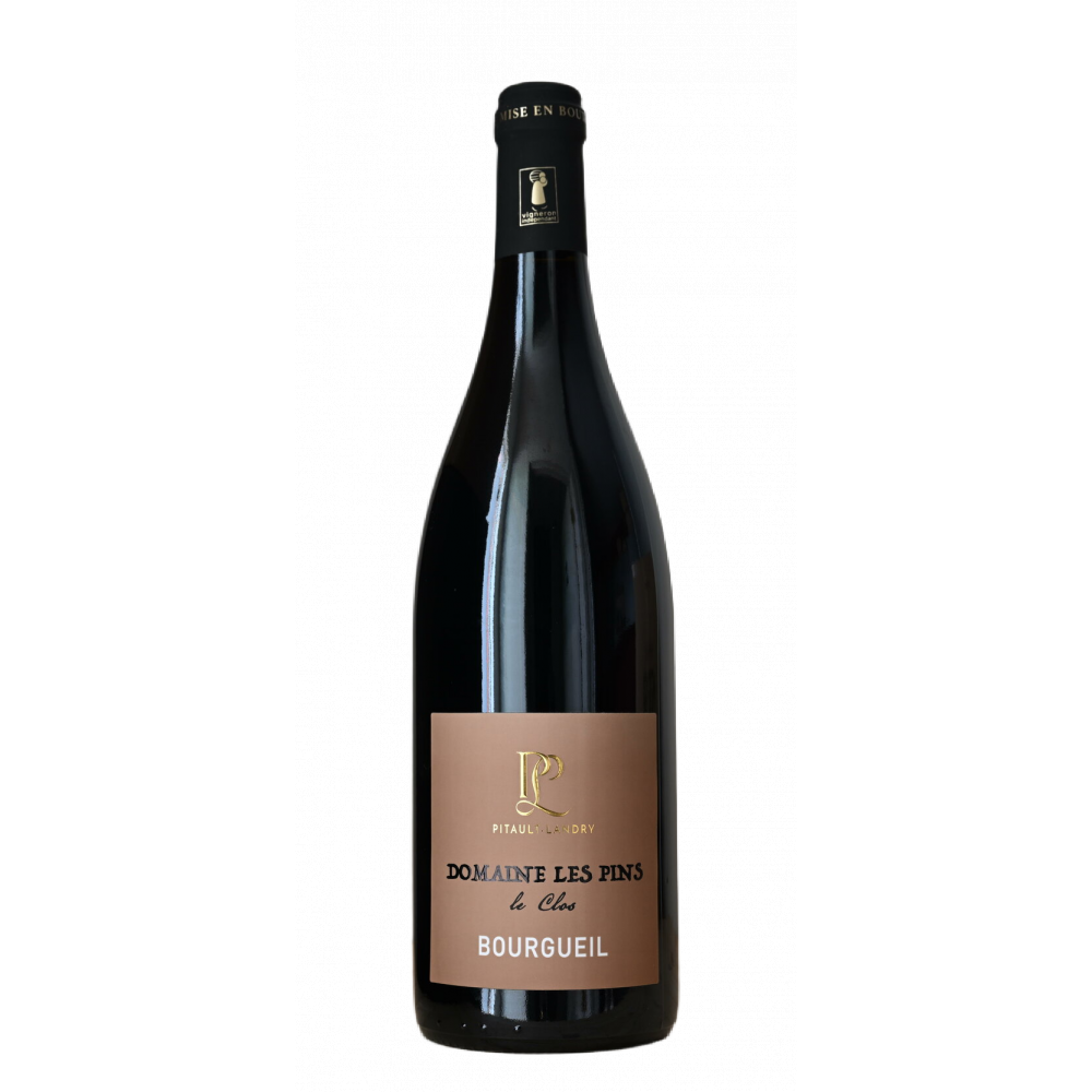 domaine-les-pins-bourgeuil-le-clos