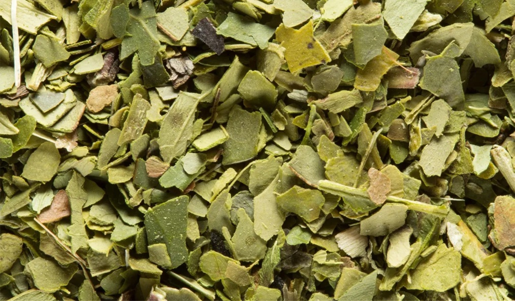 Dammann Maté Vert