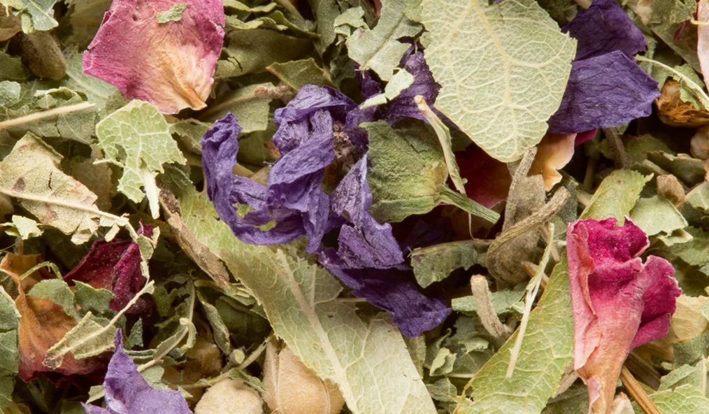 Dammann Tisane des Merveilles