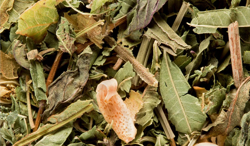 Dammann Tisane du Berger