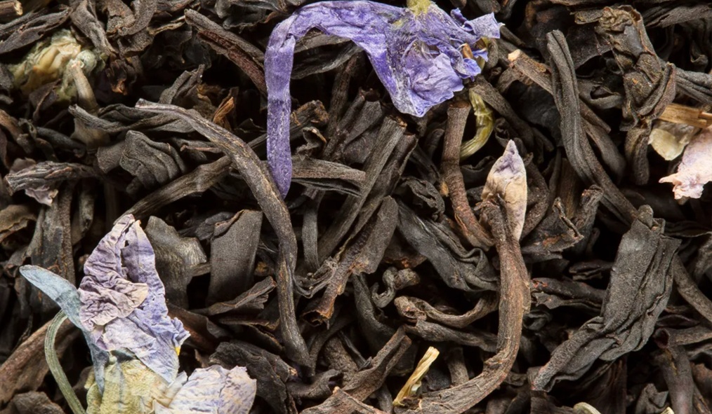 Dammann Violette
