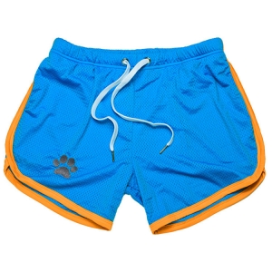 short-paw-bleu-jaune