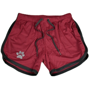 short-paw-bordeaux-noir