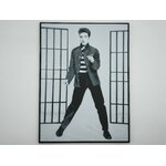 affiche_poster_Elvis_Prestley_imprimee_3d_couleur_noir_et_blanc_avec_cadre