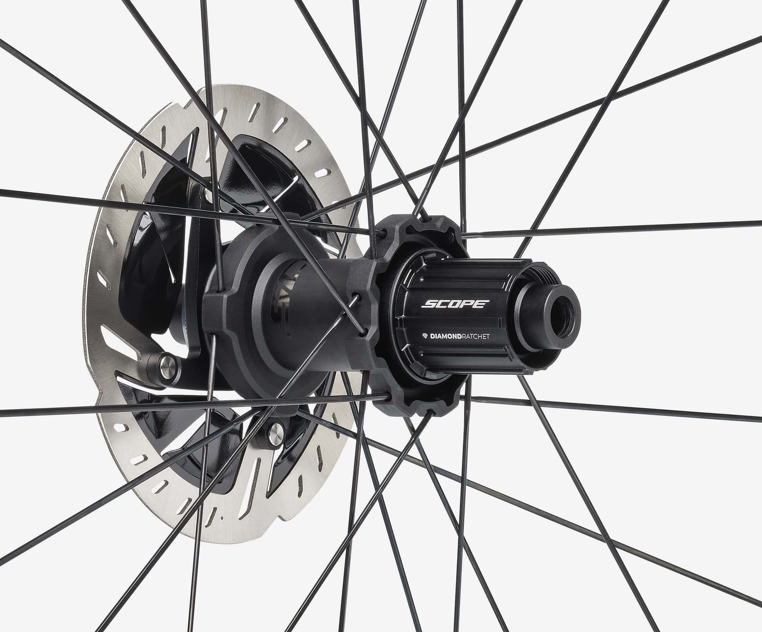 Race_Disc_Detail-hub