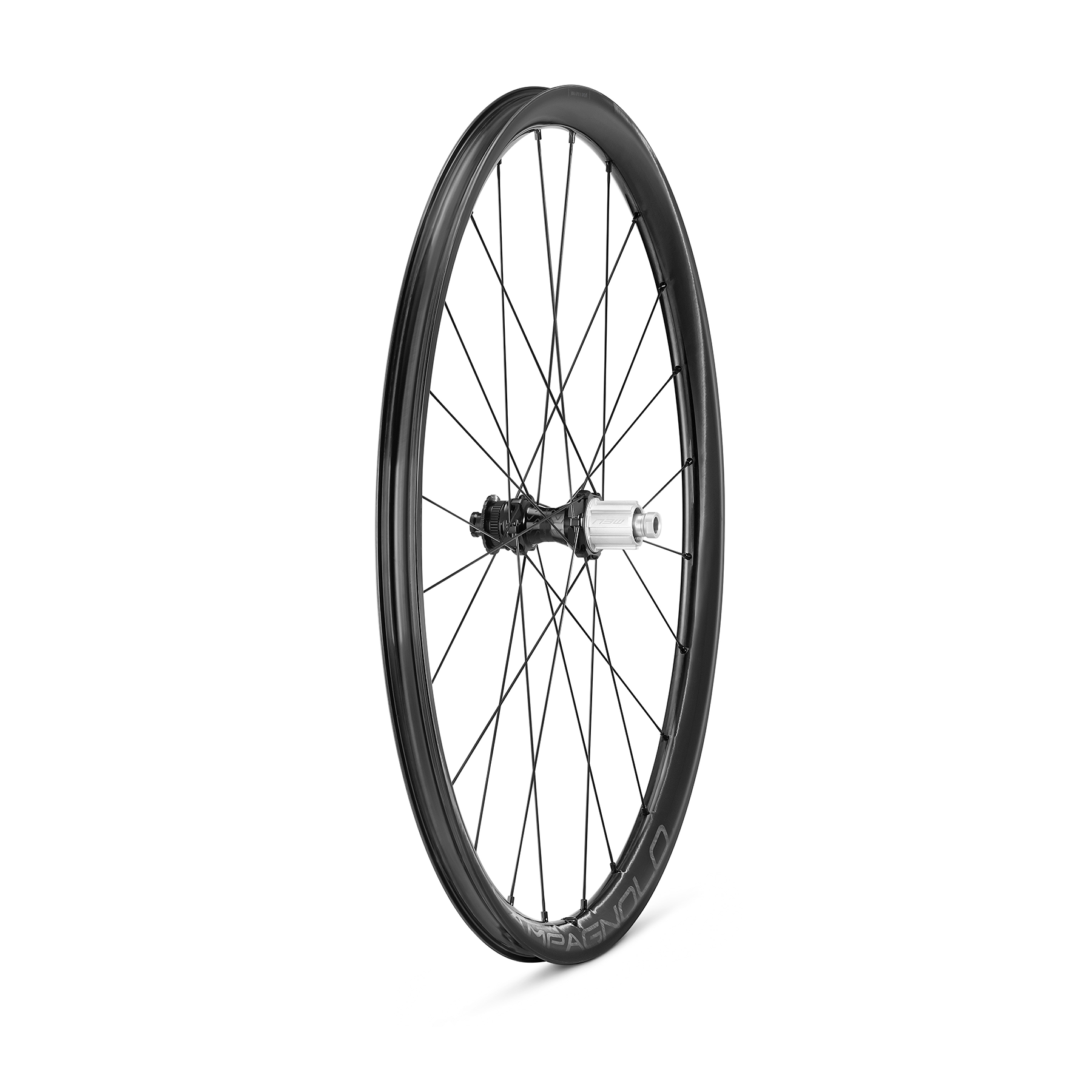 11599_z_campagnolo-levante-700C-wheelset-disc-brake-rear-right-side1-2022_1800x1800