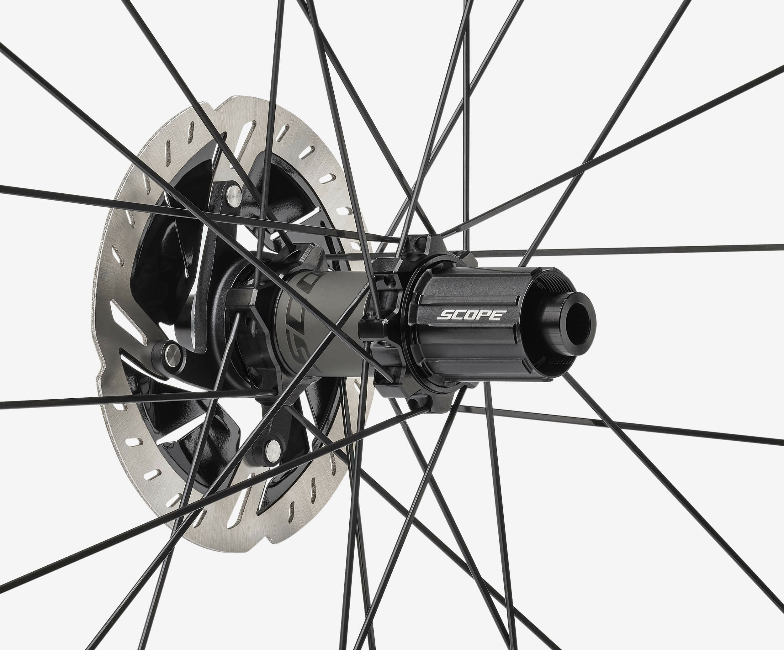 Sport-Series-Hub-1