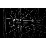 ENVE_20200713_IWM6354-9a23f1f