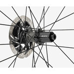 Sport-Series-Hub-1