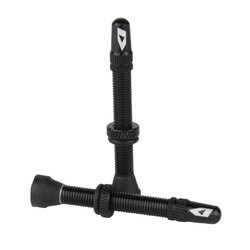 valve-tubeless-ikon