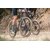 scope-s4a-sport-series