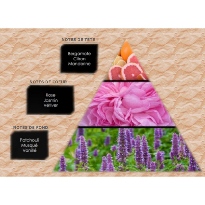 influence-w7 (2)