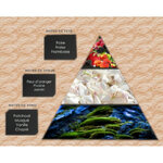 influence-w26 (2)