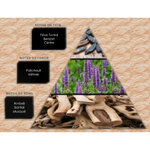 influence-w23 (2)