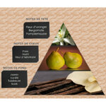influence-w20 (2)