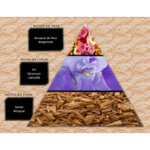 influence-w12 (2)