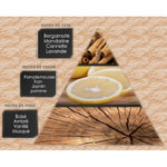 influence-parfum-m1 (2)