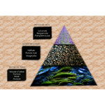 influence-m13 (2)