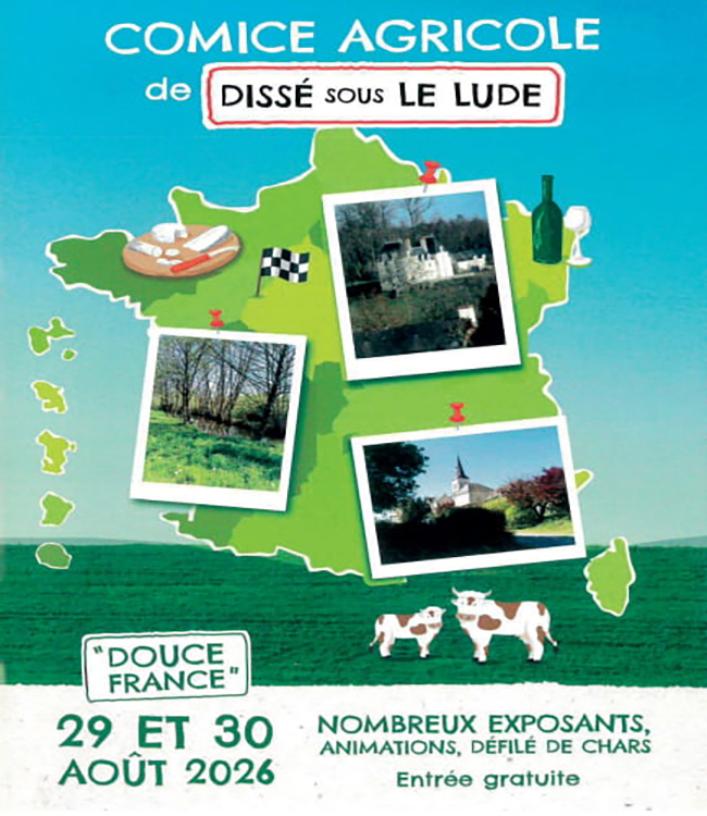 disse sous le lude