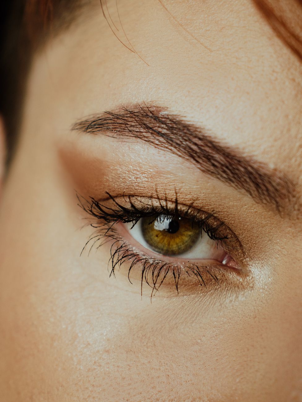 photos gratuites de attirant beaute briller