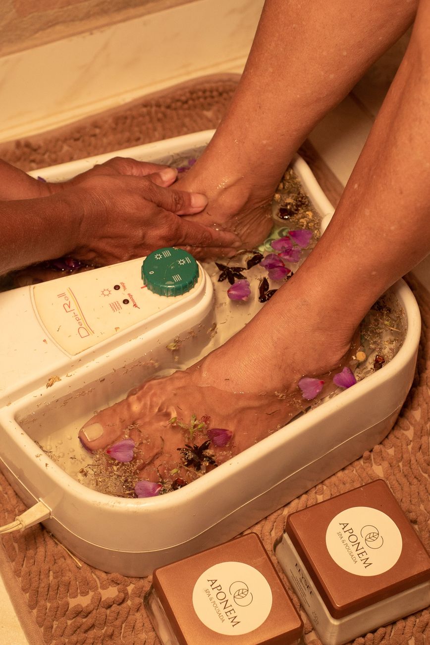 photos gratuites de a base de plantes apaisant aromatherapie