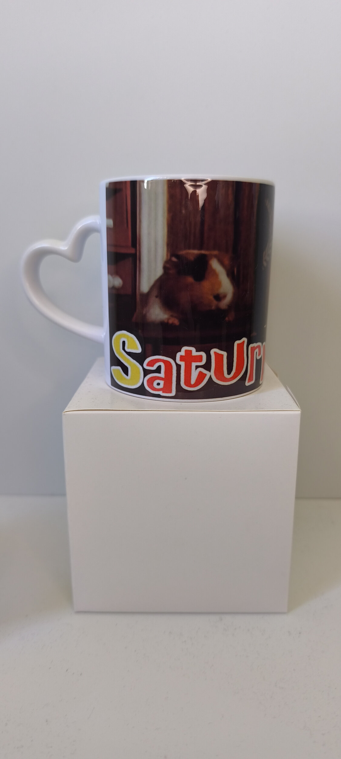 saturnin