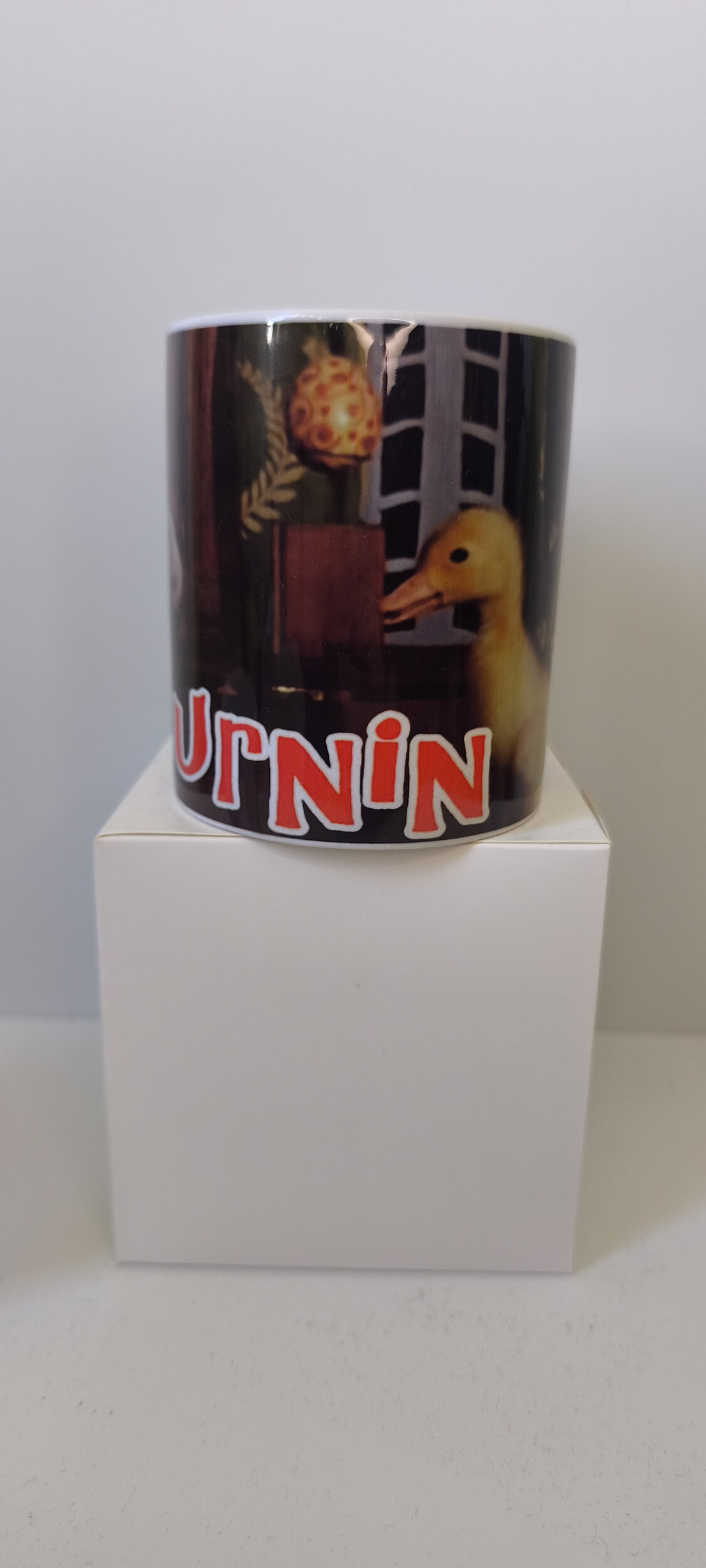 saturnin 1