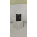 chat vert