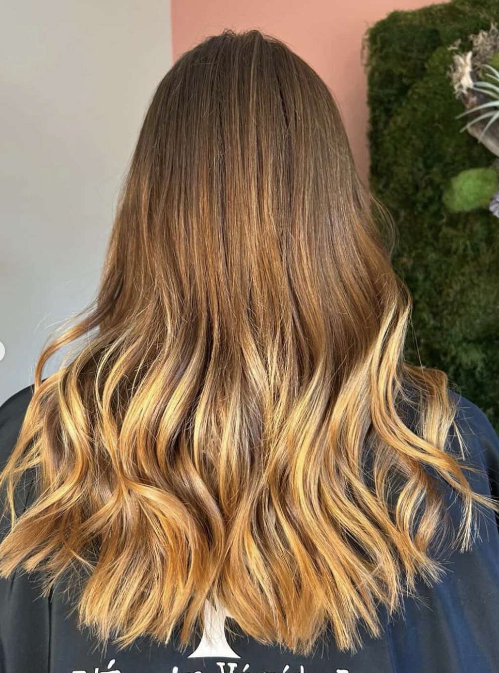 capture d ecran 2026 07 30 a 23 24 53