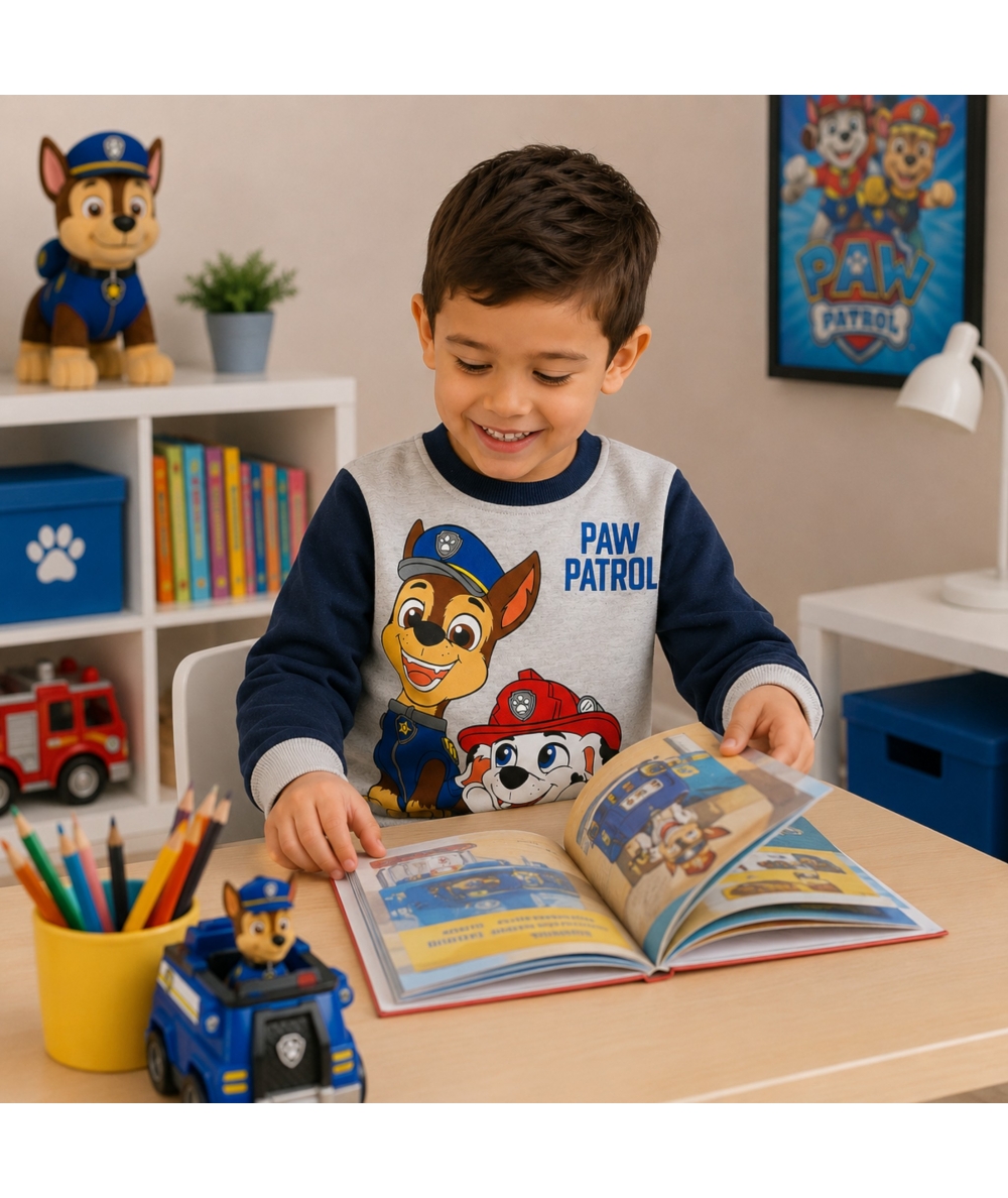 sweat-gris-paw-patrol-garcon-2-3-et-6-ans-2