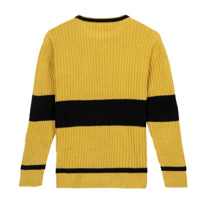 pull-jaune-harry-potter-vue-dos