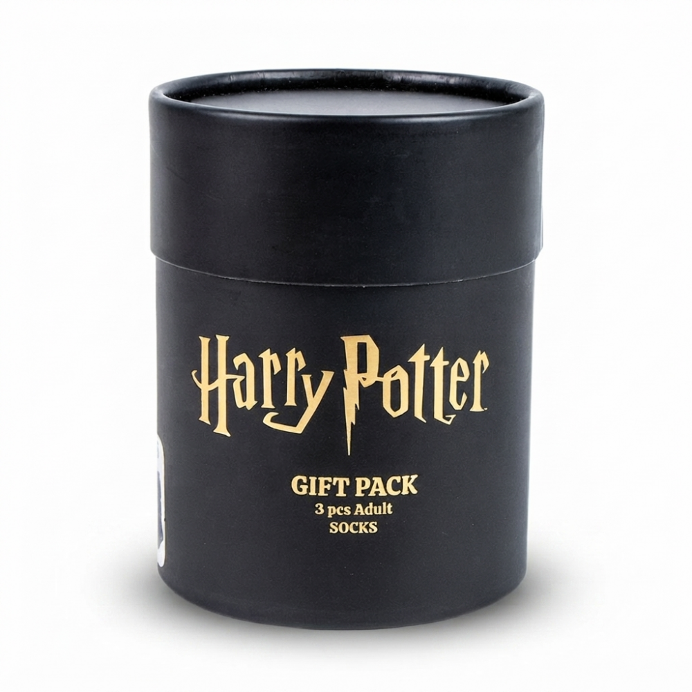 chaussettes-harry-potter-38-45-boite-vue-face