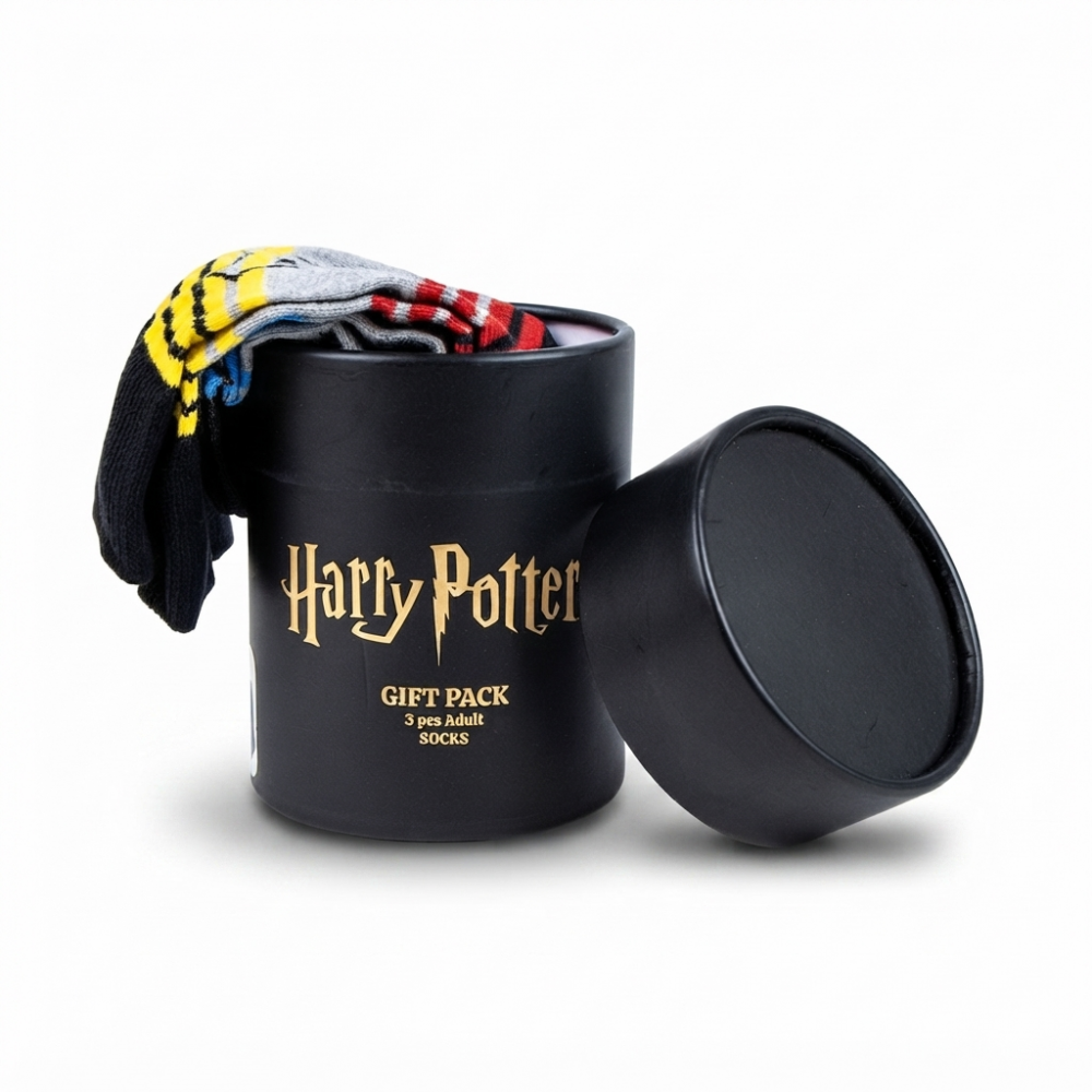chaussettes-harry-potter-38-45-boite-ouverte