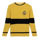 pull-jaune-harry-potter-vue-face
