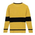 pull-jaune-harry-potter-vue-dos